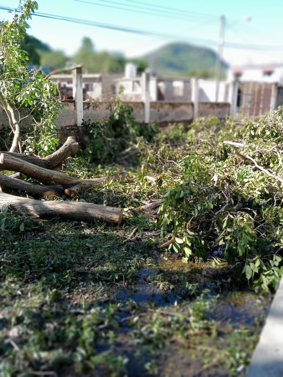 $!En Rosario y Escuinapa, escuelas reportan baja asistencia después del impacto de ‘Orlene’