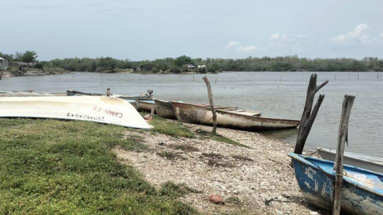 Pescadores en Rosario advierten que no es costeable levantar la veda el 25 de septiembre.