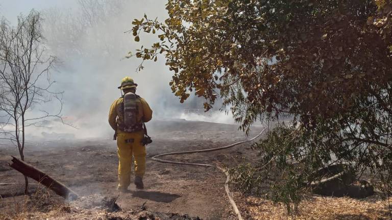 Personal de Bomberos de Culiacán atienden el incendio de un predio.