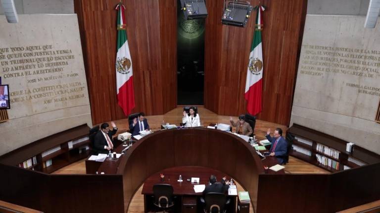 Tribunal Electoral confirma nulidad de la elección en Irimbo, Michoacán; habrá elecciones extraordinarias