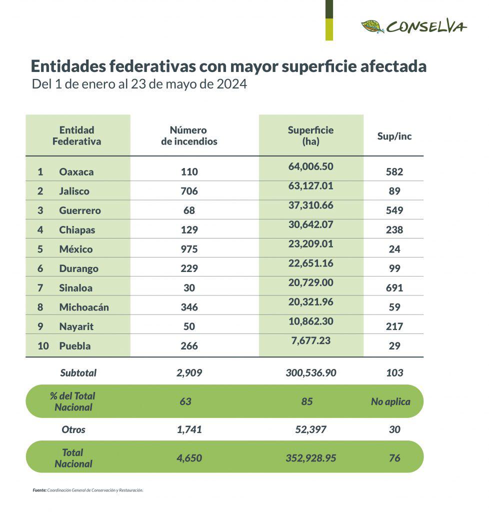 $!Día Mundial del Medio Ambiente: Urge detener la deforestación para mitigar la sequía