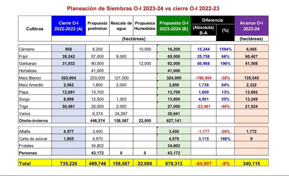 $!Se reducirá siembra de maíz blanco un 38% en el ciclo otoño-invierno 2023-2024