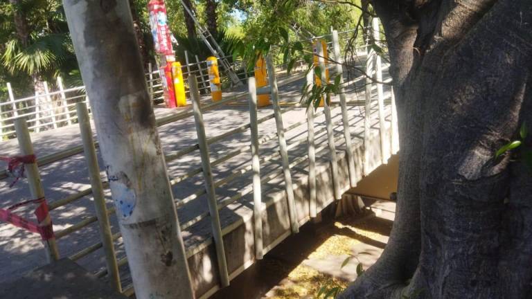 Protección Civil de Culiacán atendió caso de panal de abejas en el Parque Las Riberas