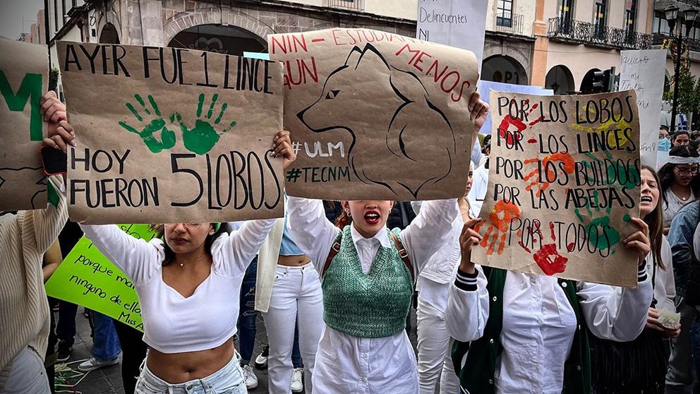 $!Se rebelan jóvenes de Celaya contra violencia: ‘Estamos hartos de sobrevivir’