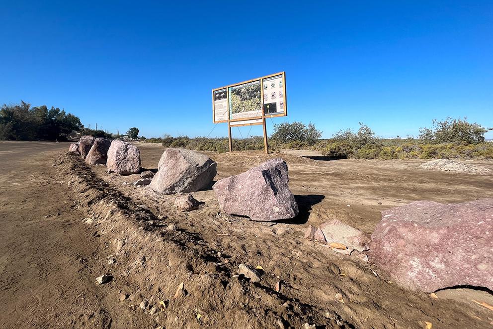 $!Rocas colocadas para impedir la entrada de vehículos en la zona de manglares El Conchalito, donde se restaura la población de callos de hacha.