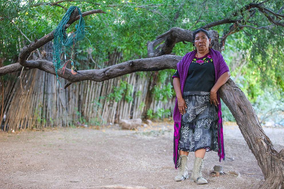 $!Desmontar un gasoducto y venderlo como fierro viejo: una historia de mujeres yaquis