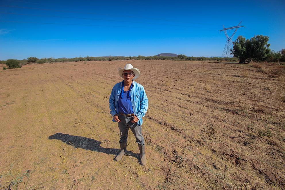 $!Desmontar un gasoducto y venderlo como fierro viejo: una historia de mujeres yaquis